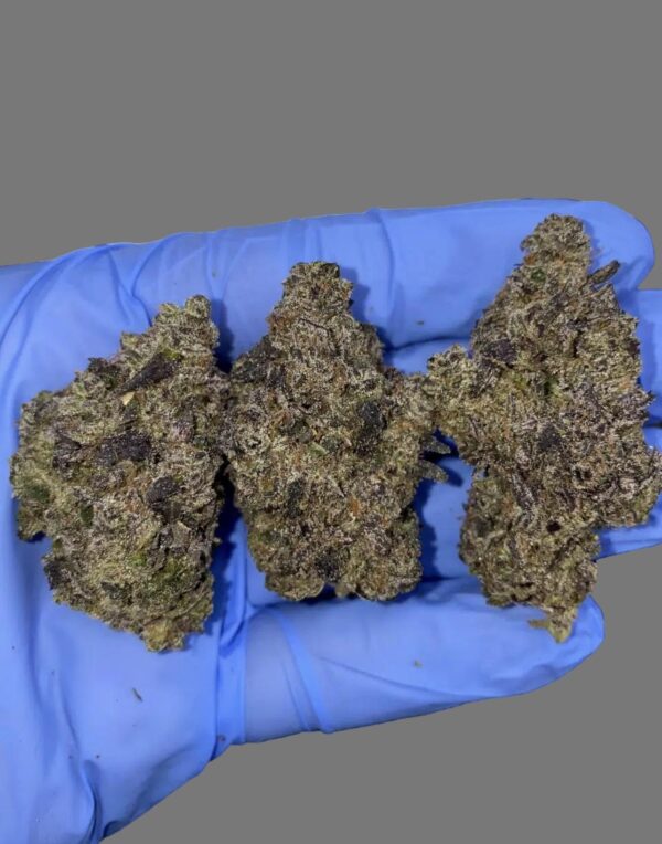 White Truffles (Hybrid)
