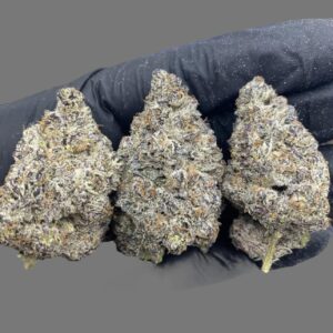 Oreoz (Hybrid)