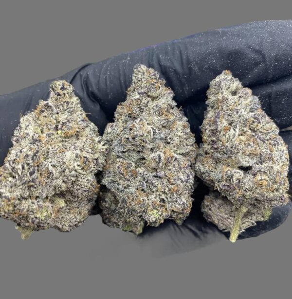 Oreoz (Hybrid)