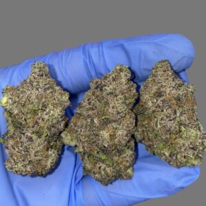 Truffel Cake (Indica)