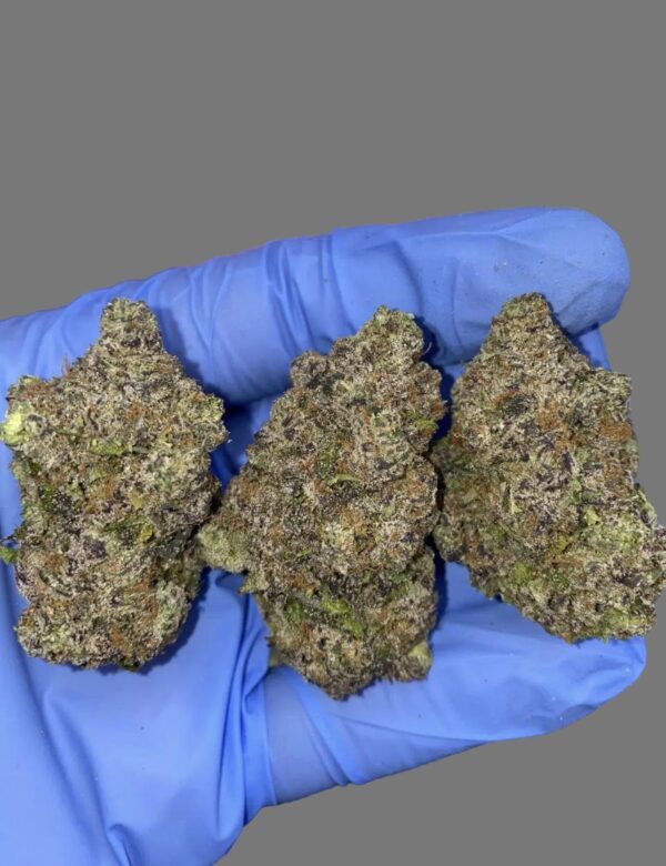 Truffel Cake (Indica)