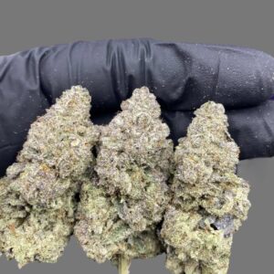 White Runtz (Hybrid)