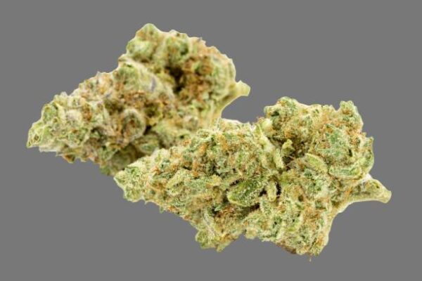 Northern Lights (Indica)