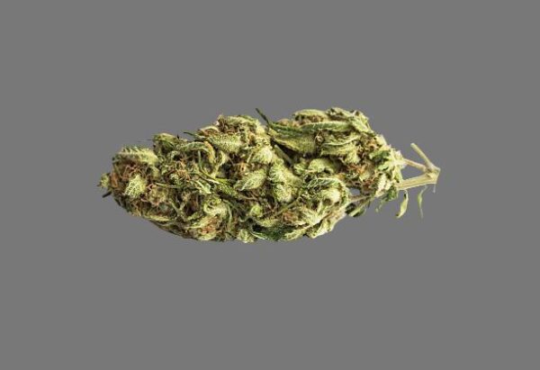 Granddaddy Purple (Indica)