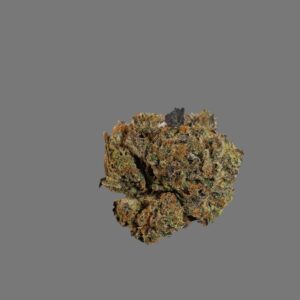 Strawberry Cough (Sativa)