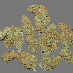 Sherbert (Hybrid)