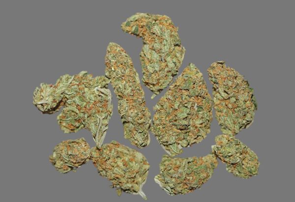 Sherbert (Hybrid)