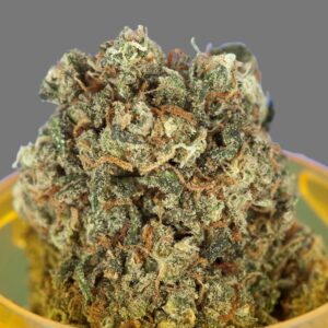 Purple Kush (Indica)