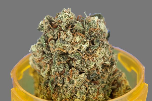 Purple Kush (Indica)