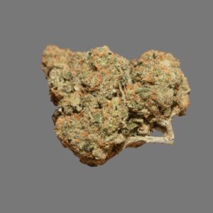 Blue Cheese (Indica)