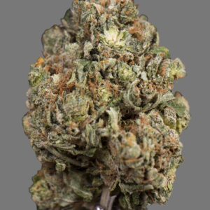 Green Crack (Sativa)
