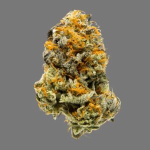 GG4 (Hybrid)