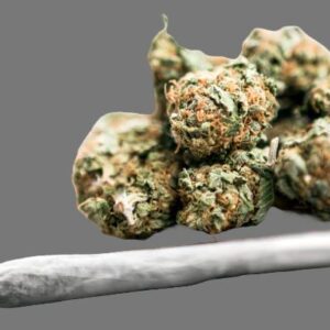 Topshelf Prerolls