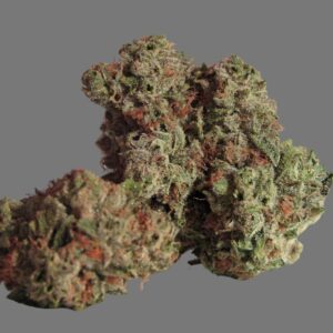 Dosidos (Hybrid)