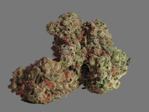 Dosidos (Hybrid)