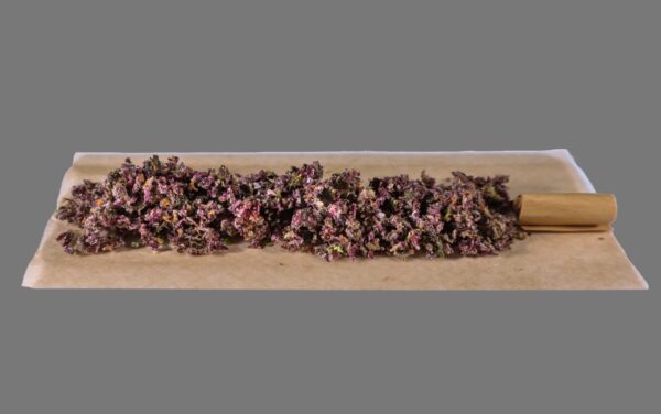 Designer Prerolls